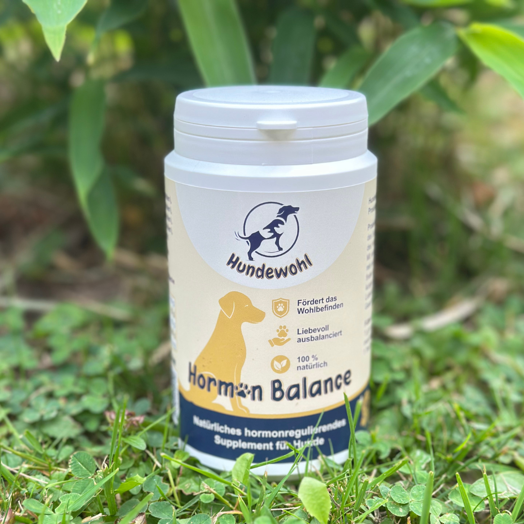 Hormon Balance - natürliches hormonregulierendes Supplement für Hunde.