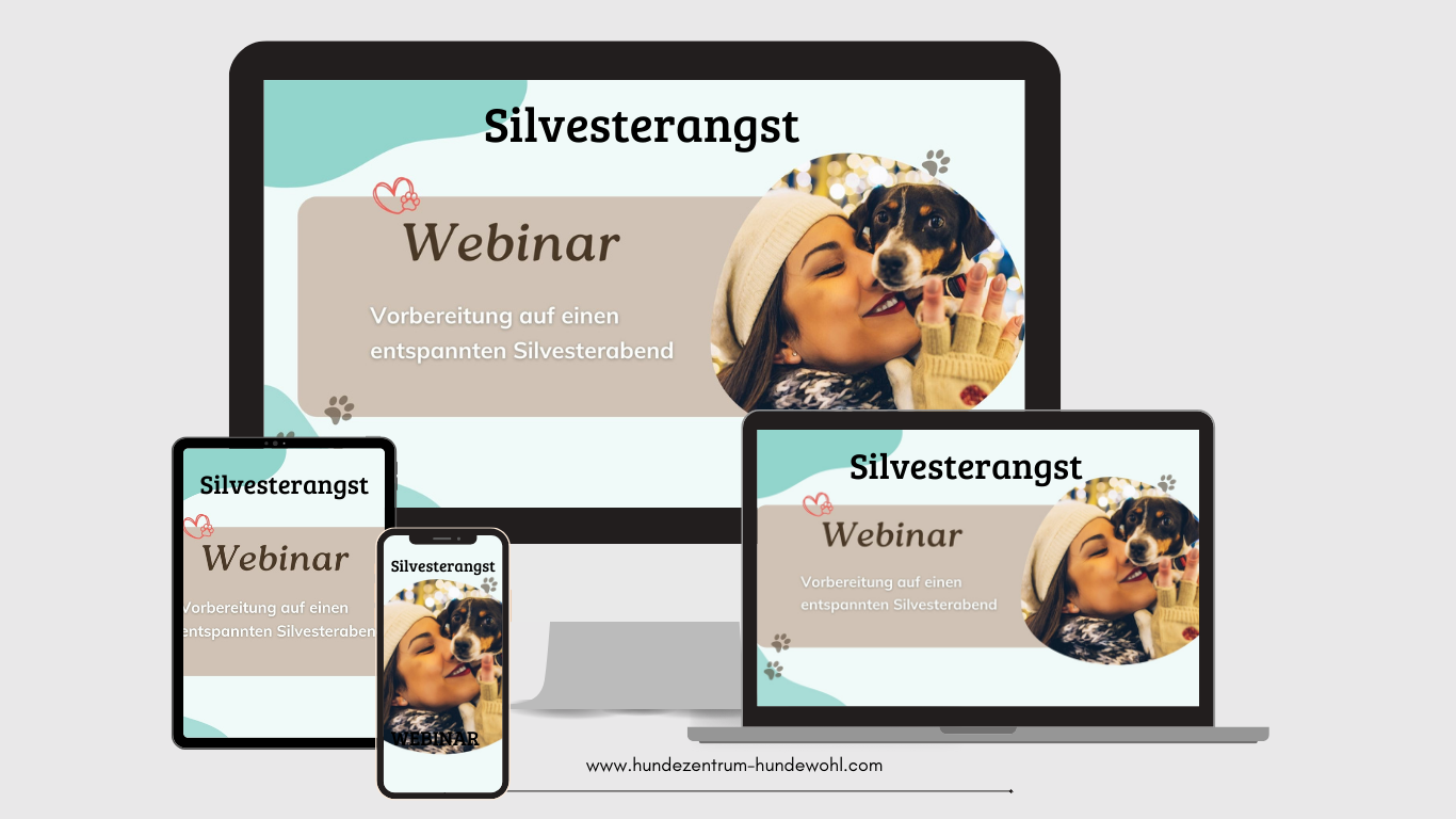 Webinar: Silvesterangst verstehen und bewältigen – deinem Hund Sicherheit schenken