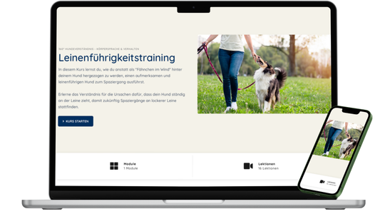 Kurs: Leinenführigkeit