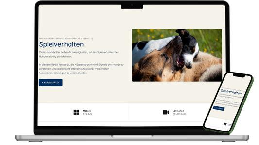 Kurs: Spielverhalten der Hunde