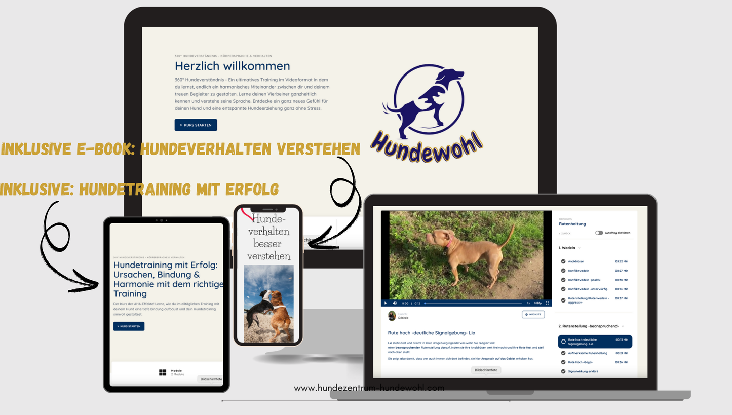 Webinar: Dog Encounters