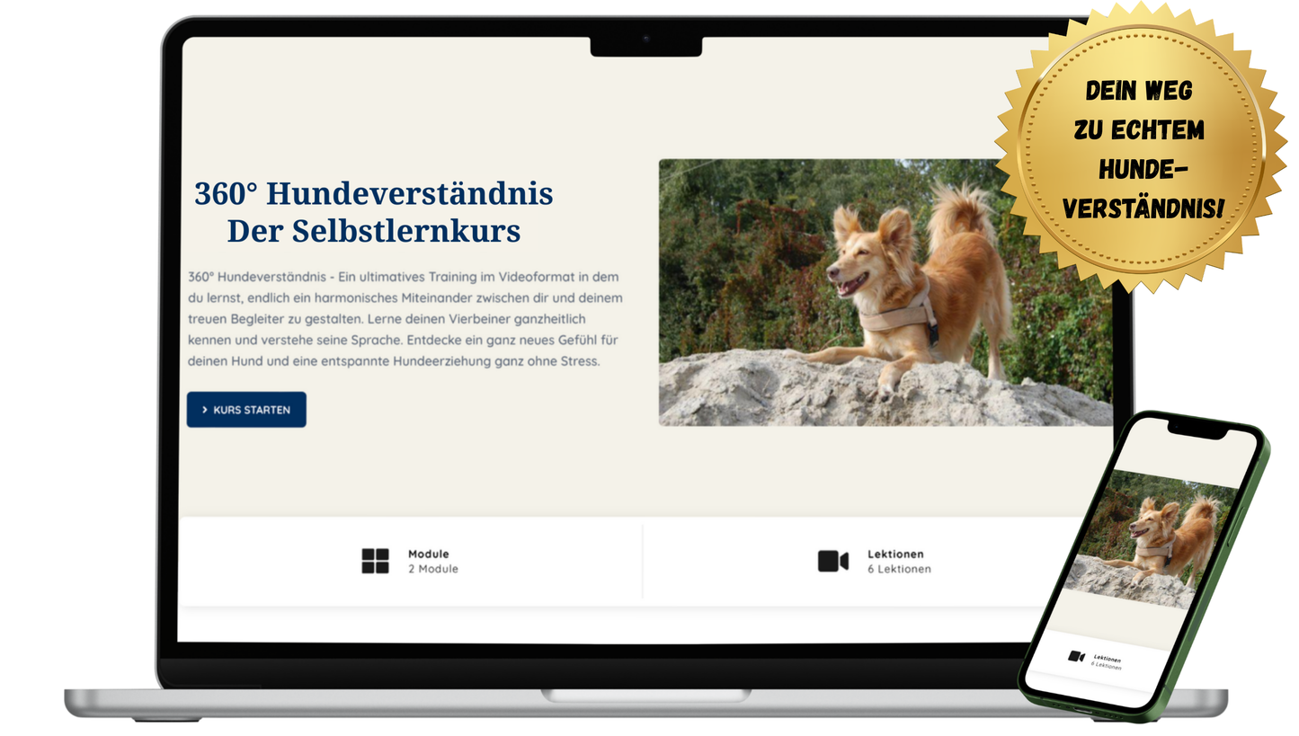 Webinar: Dog Encounters