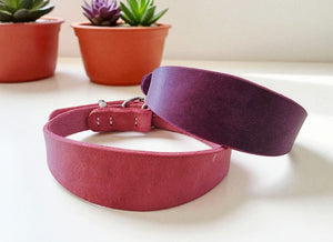 Hundewohl - Breites Fettleder Halsband *Windhundhalsband*