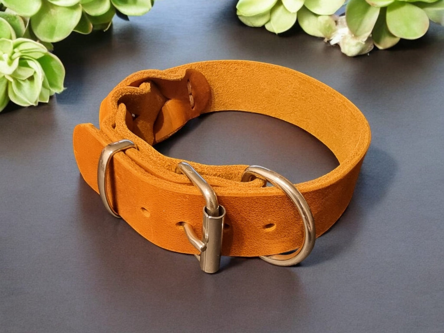 Hundewohl - Fettleder Halsband teilgeflochten / Messing Beschläge 20mm Breite