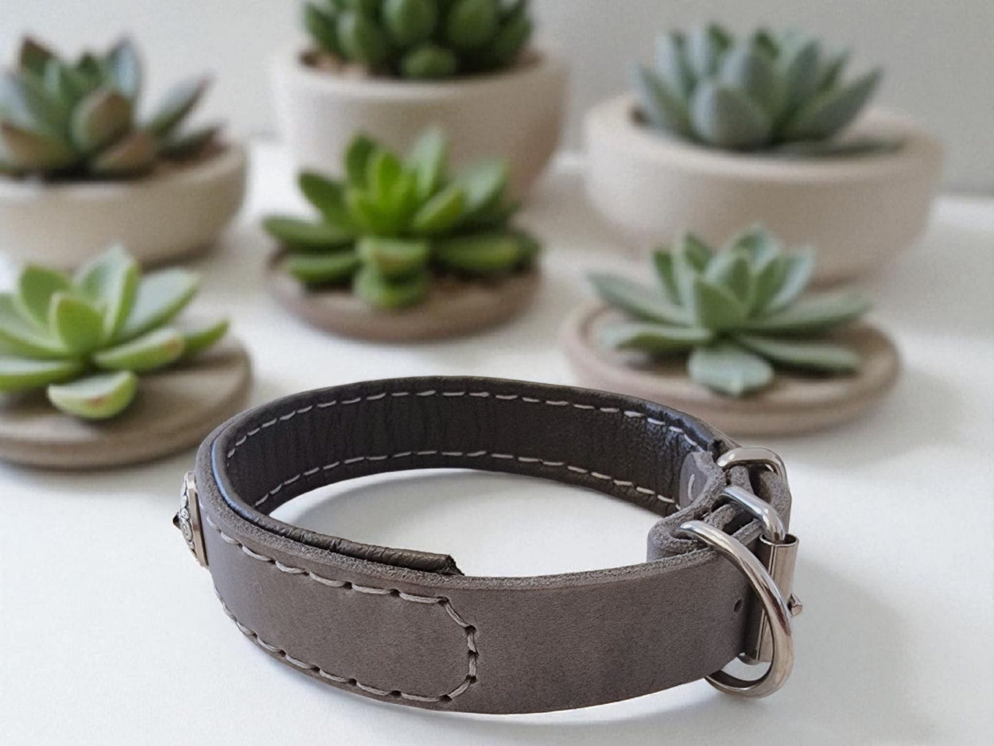 Hundewohl - Collar with nappa leather and braiding