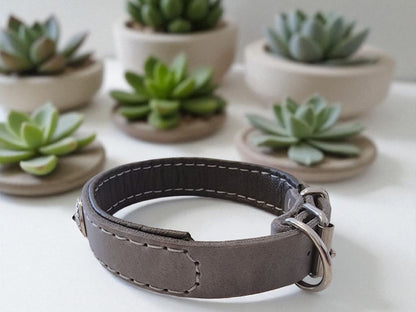 Hundewohl - Collar with nappa leather and braiding