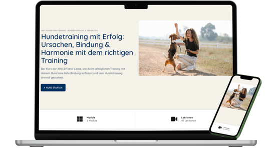 Hundetraining mit Erfolg