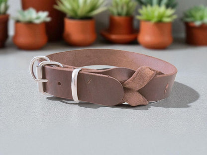 Hundewohl - Fettleder Halsband teilgeflochten / Messing Beschläge 20mm Breite