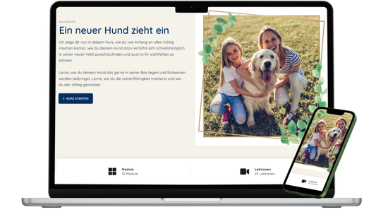 Kurs: Ein neuer Hund zieht ein