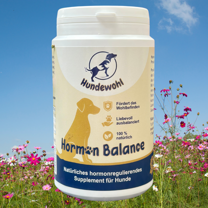 Hormon Balance - natürliches hormonregulierendes Supplement für Hunde.