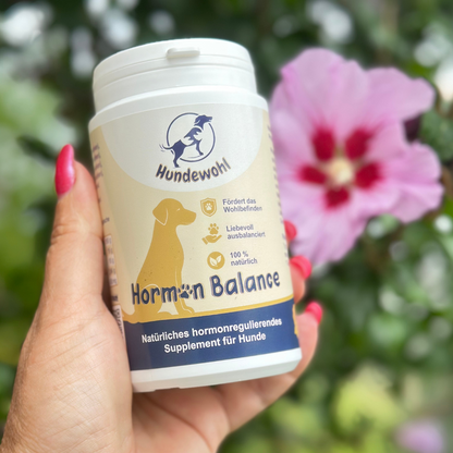 Hormon Balance - natürliches hormonregulierendes Supplement für Hunde.