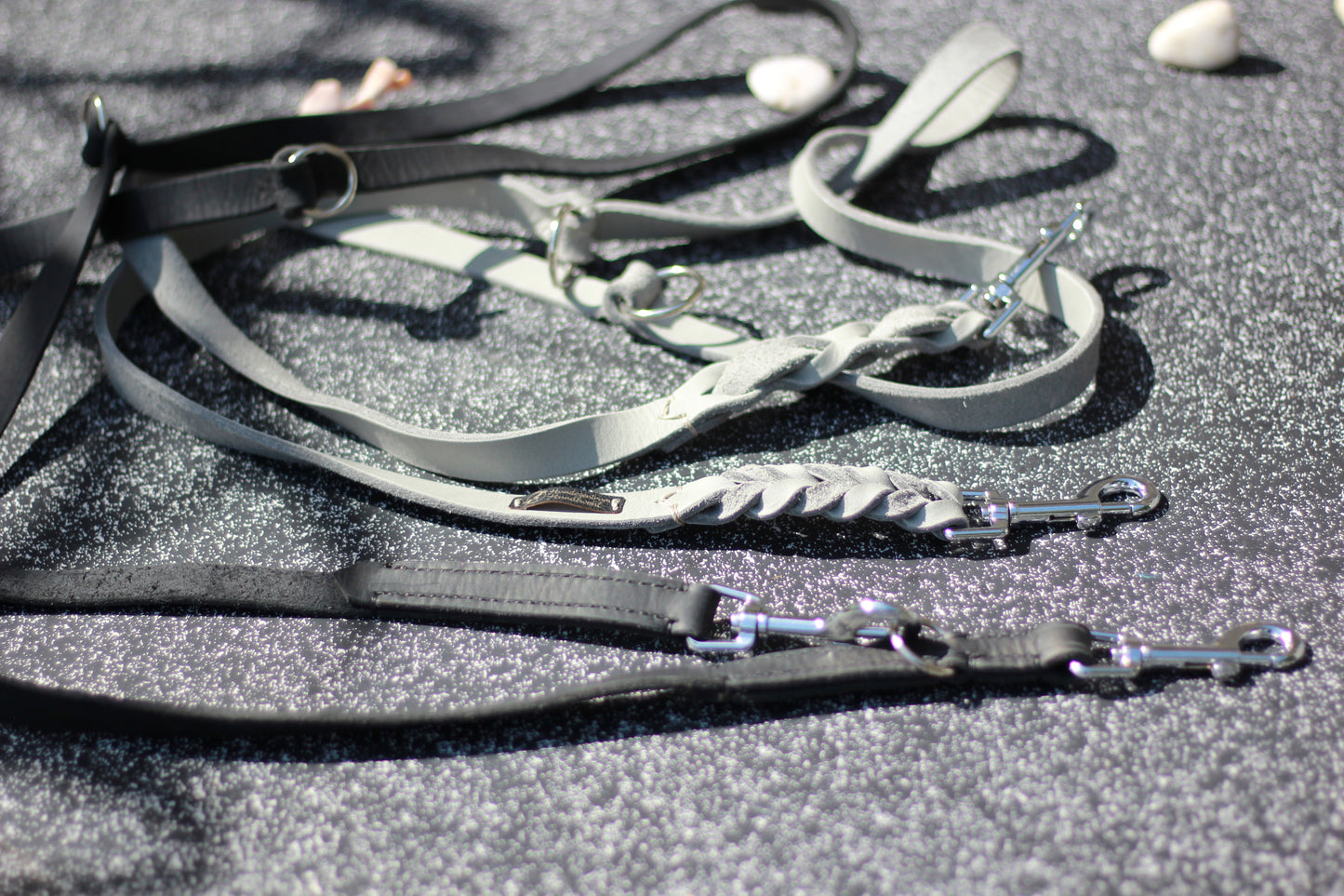 Hundewohl-Set: Breites Halsband mit Schnalle und Nappapolsterung