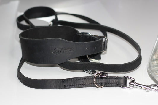 Hundewohl-Set: Elegant und zeitlos-Breites Halsband mit passender Leine