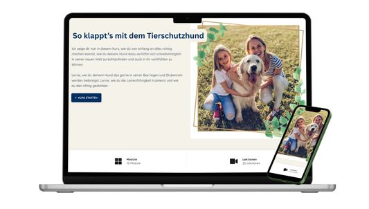 Kurs: So klappt’s mit dem Tierschutzhund –Alltag meistern mit Herz & Konzept