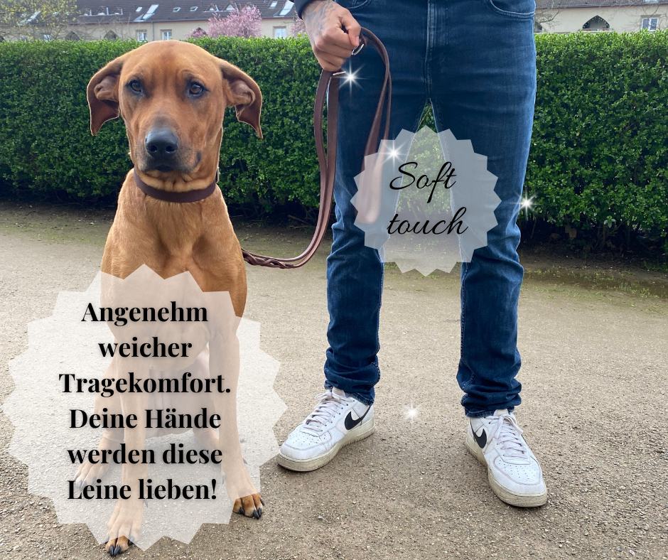 Hundewohl - Fettleder Leine teilgeflochten / Messing Beschläge