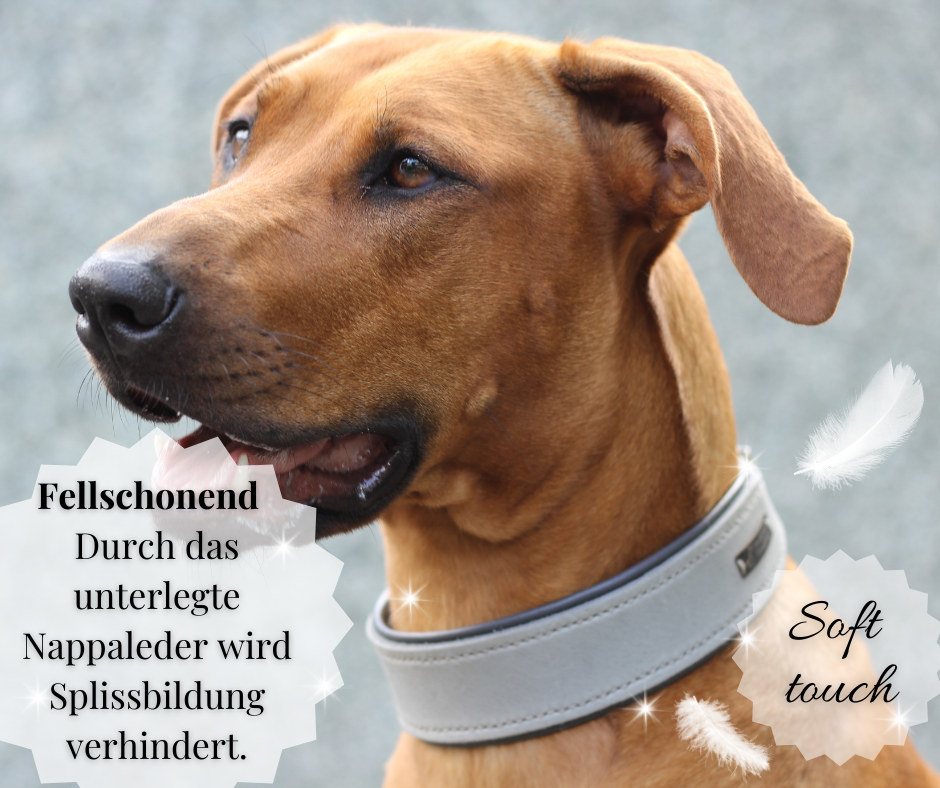 Hundewohl - Fettleder Halsband mit Nappaleder