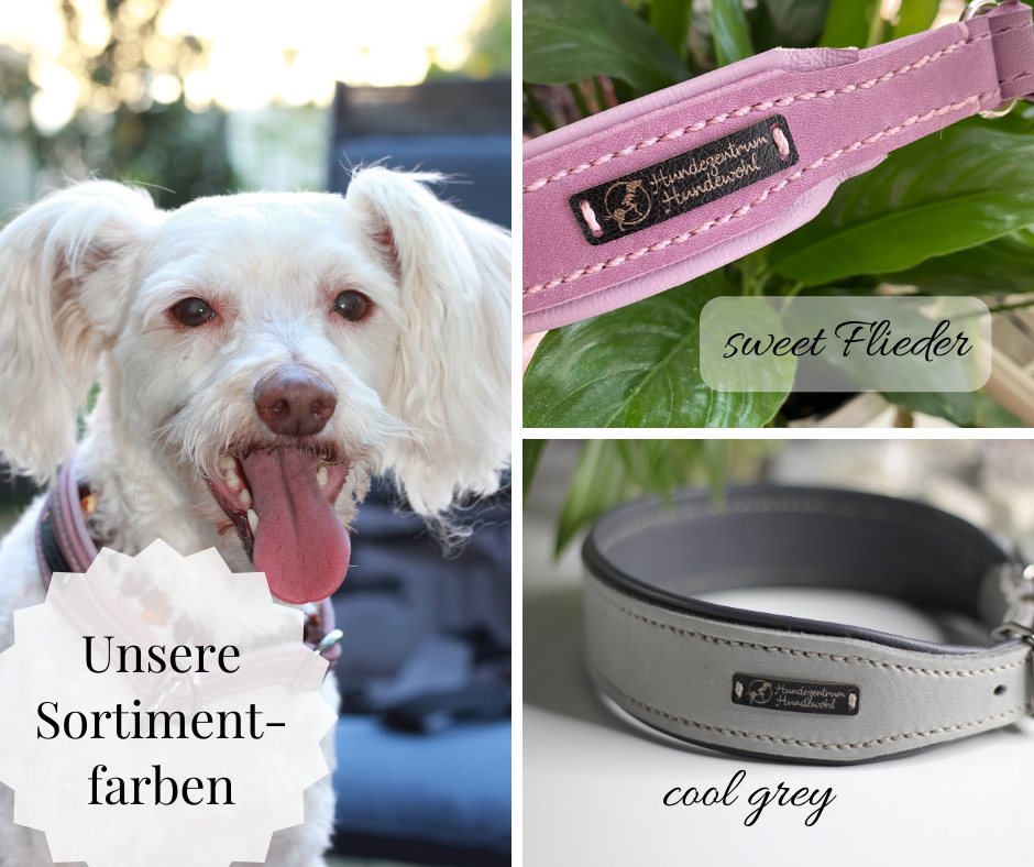 Hundewohl - Fettleder Halsband mit Nappaleder