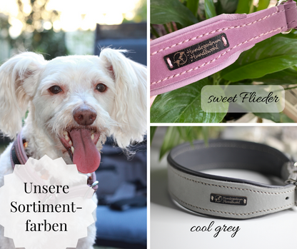 Hundewohl - Fettleder Halsband mit Nappaleder