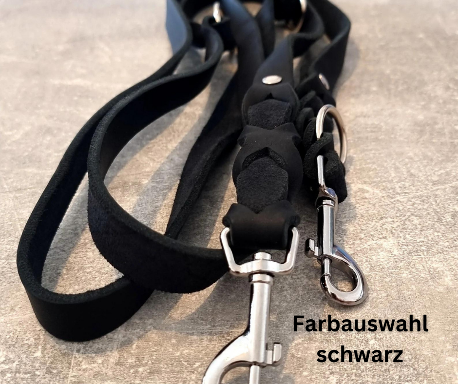 Hundewohl - Fettleder Leine teilgeflochten / Messing Beschläge