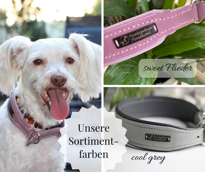 Hundewohl - Zugstopp Halsband mit Nappaleder
